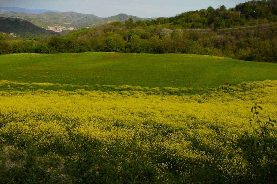 Il mestiere della mala vita per non perdere sogni.